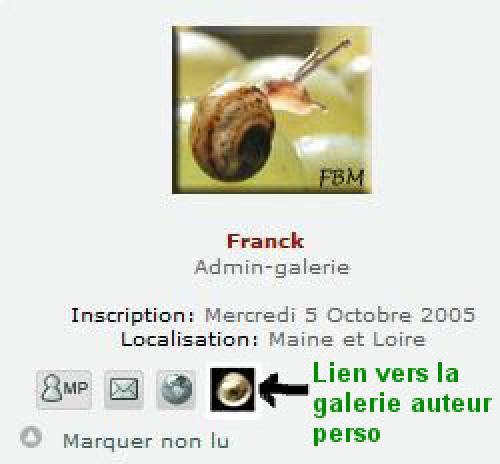 Indéterminé