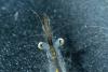 301331 – Photo : Christophe Quintin – France (22)