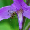 303829 – Photo : christian drollinger – Allemagne