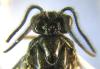 309921 – Photo : Alexander Boldyrev – Russie