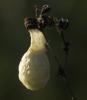 333016 – Photo : éric Pensa – France (13)