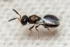 337003 – Photo : André Burgers – Espagne