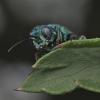 347887 – Photo : Patrice skrzynski – France (72)