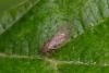 349269 – Photo : Pierre Duhem – France (73)