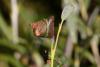 349806 – Photo : Pierre Duhem – France (73)