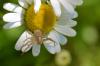 353987 – Photo : Adel Durand-Monteil – France (31)