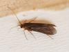 356923 – Photo : Cédric Mondy – France (94)