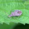 357860 – Photo : Mathurin CARNET – France (58)