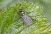 357839 – Photo : Pierre Duhem – France (17)