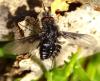 357868 – Photo : MOLINIER Cédric – France (66)
