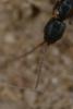 357672 – Photo : ANDRE LABETAA – France (66)