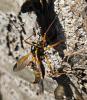 357186 – Photo : lguez – France (92)