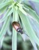358665 – Photo : Armelle Bass – France (22)