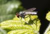 358574 – Photo : Pierre Duhem – France (17)