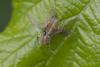 358246 – Photo : Pierre Duhem – France (17)