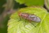 358346 – Photo : Pierre Duhem – France (17)