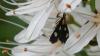 358441 – Photo : florent besson – France (18)