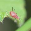 358910 – Photo : sofiane lemieuvre – France (63)