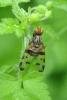 358416 – Photo : Guillaume Chorgnon – France (07)