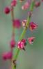 358760 – Photo : ANDRE LABETAA – France (66)