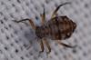 358004 – Photo : Christian Berquer – France (05)