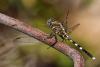 358103 – Photo : Lionel Casset – Madagascar