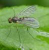 358331 – Photo : Jean-Michel GAREL – France (89)