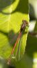 358783 – Photo : lguez – France (93)