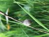 358067 – Photo : Armelle Bass – France (75)