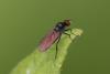 359424 – Photo : Pierre Duhem – France (95)