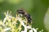 359739 – Photo : Pierre Duhem – France (77)