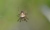 359800 – Photo : Christian Berquer – France (50)