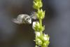 359714 – Photo : Marc Solari – France (68)