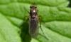 359358 – Photo : Christian Berquer – France (50)