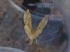 359519 – Photo : Georges Vermelle – France (62)