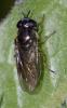 359178 – Photo : ANDRE LABETAA – Espagne