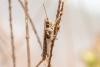 359029 – Photo : Arnaud Badiane – Sénégal