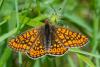 359329 – Photo : Bernard Saquet – France (12)
