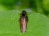 359203 – Photo : Guillaume Huot-Marchand – France (88)