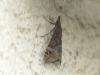 359427 – Photo : Sandor31 – France (31)