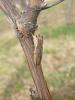 359081 – Photo : Emilien Gonzalez – France (26)