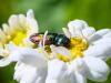 359886 – Photo : BourrinOman – France (83)