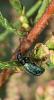 359442 – Photo : Armelle Bass – France (22)