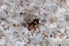 359484 – Photo : Guillaume Huot-Marchand – France (88)