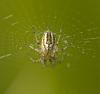 359151 – Photo : lguez – France (91)