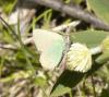 359486 – Photo : lguez – France (73)