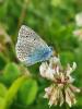359608 – Photo : zucca maxime – France (26)