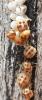 360186 – Photo : Liliane Delattre – France (30)