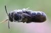 360137 – Photo : Liliane Delattre – France (30)