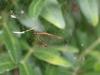 360118 – Photo : H. Dumas – France (13)